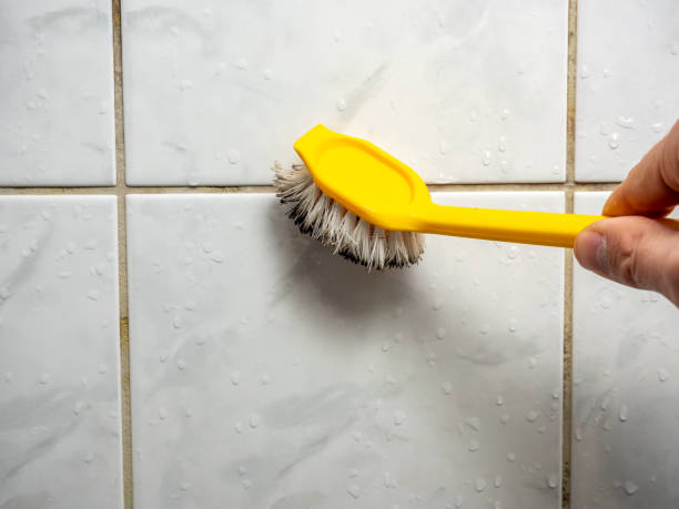 Best Mold Remediation  in Kings Beach, CA