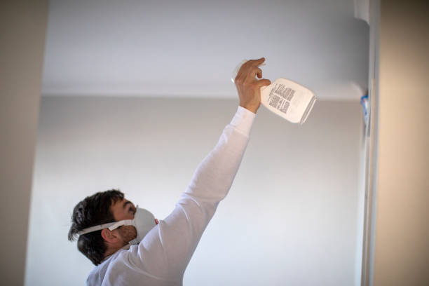 Best Mold Remediation  in Kings Beach, CA