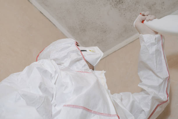 Best Mold Removal Specialists  in Kings Beach, CA